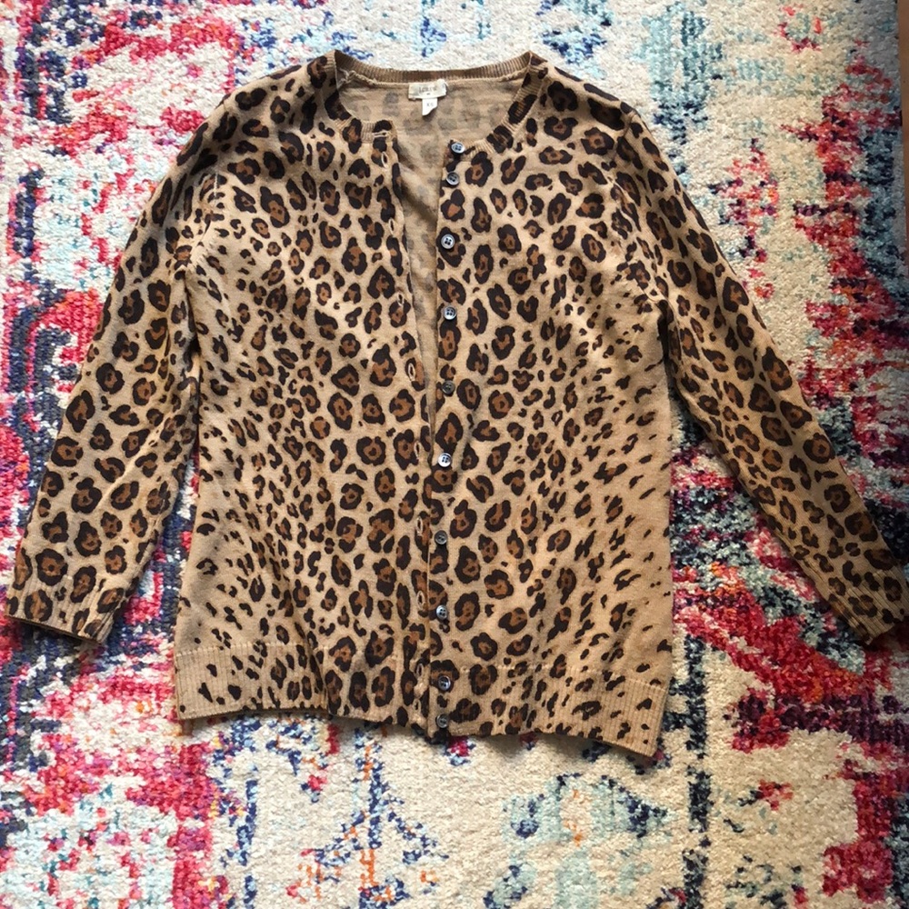 JCrew Wool Cardigan